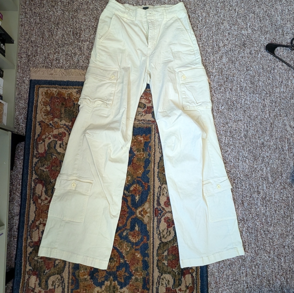 Wild Fable Men's Light Tan Cargo Pants